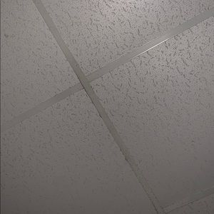 Meet your Posher, Spencer